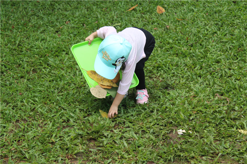 BBunion国际早教厦门外图中心活动花絮：《秋之美》英语户外课